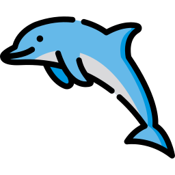 Dolphin